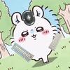 Windyt客制化