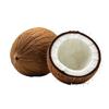 椰子🥥