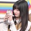 吨吨吨吨吨🐾