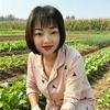 兰岚爱种菜