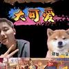 万国觉醒_大可爱