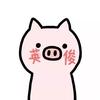 坨坨老师
