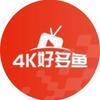 4K 好多鱼