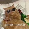 好日妙妙