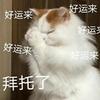 小不确幸