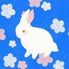 盐盐🧂🐰🥥