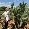 仙人掌大果王基地-小蔡🌵