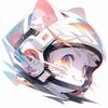 猫猫贝斯特