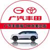 广汽丰田海口新能源铂智