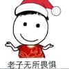 《闪闪的星空》