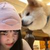 魏斯理梦女（见过邓紫棋版）