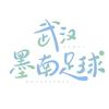 武汉墨南足球场(球队招募中)