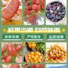 闽源果甄选
