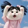 猫咪小百科🐈