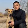 宠物情报站 阿阳