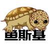 鱼斯基（养龟版）