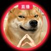 红小狗
