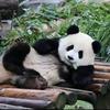 爱乐