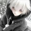 icevl-