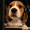 月亮有话说