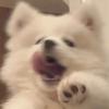 瑶瑶奶昔🧸ྀི