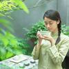巧言茶语