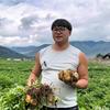 编导洋芋锅