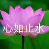 长矛沾屎戳谁谁死