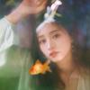 李轶轩