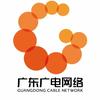 大安镇广电网络