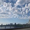 会场鼾声