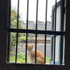 饭兜先生。