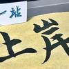 老张说实话