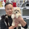 北京cockapoo可卡布犬舍