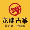 龙啸琴筝乐器专卖店