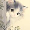 躲猫猫游戏