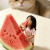 家有苒宝