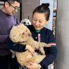 徐婉馨犬舍