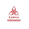 HOBESANOWN荷波撒纳温内衣馆
