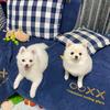 COCO&十三