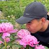 鲁泽牡丹（分享栽培技术）