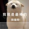 月亮不睡（吐槽｜分享版）