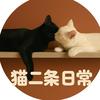 猫二条日常