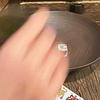 扑棱鹅子