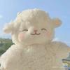 羊羊🐑