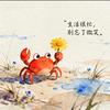 杭州房产小丽