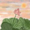 🌺·花開富貴·