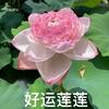 带槐烂里弄优选铺