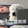 明天退休0-0