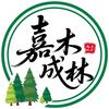 【蚂蚁森林】往事嘉木合种团队